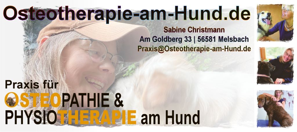 Osteotherapie am Hund